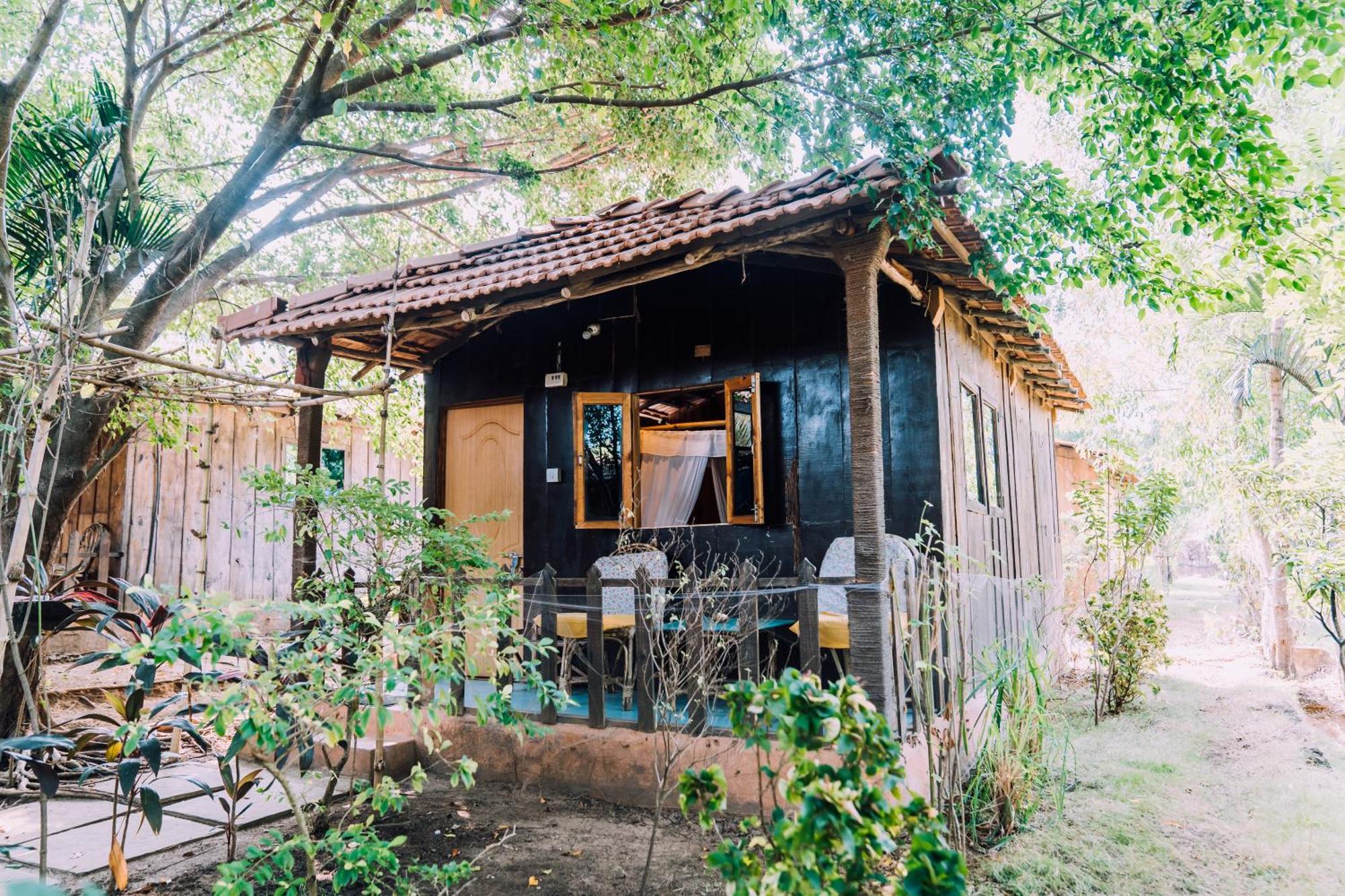 Jamboree Creek Yoga 曼德姆 外观 照片