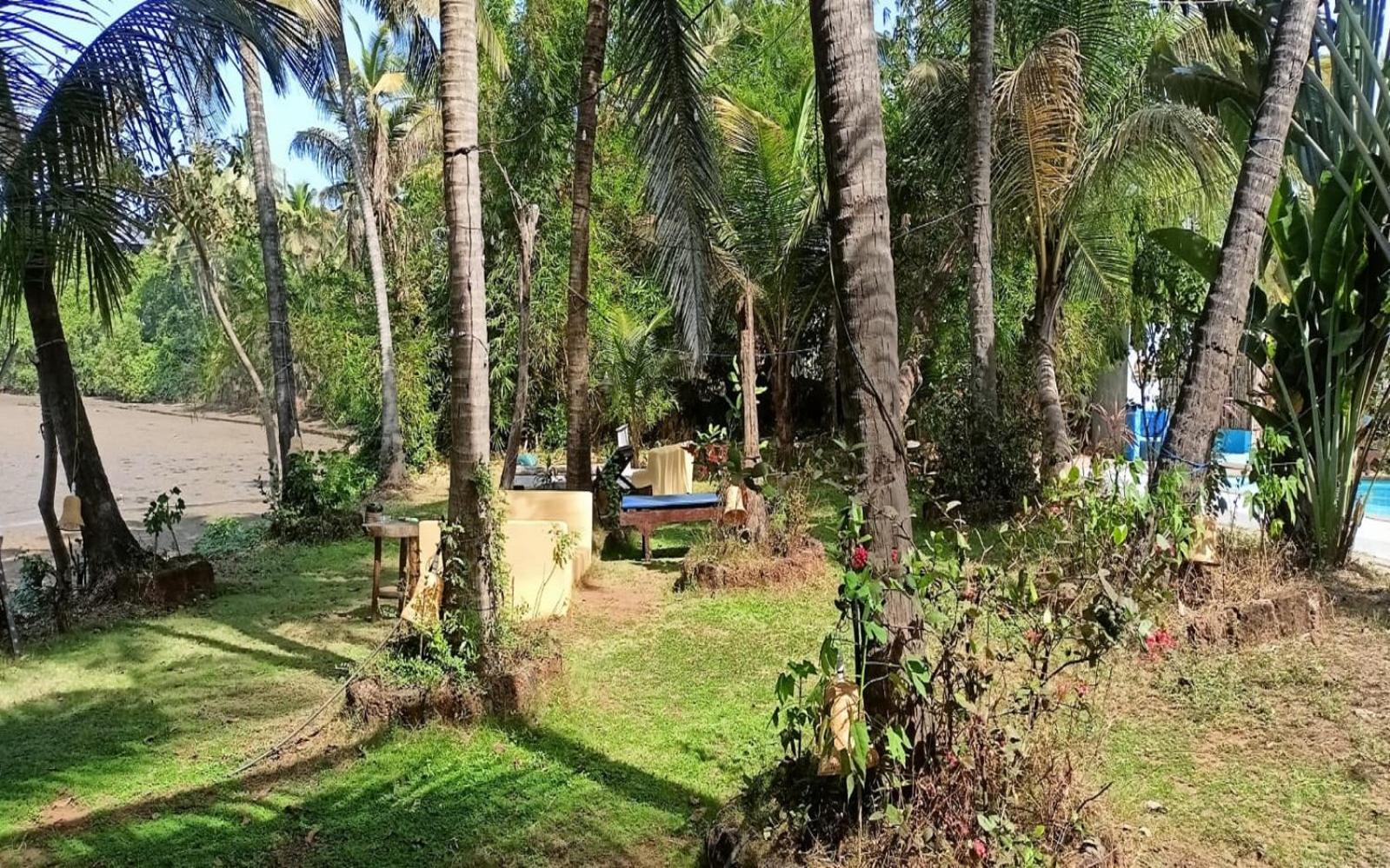 Jamboree Creek Yoga 曼德姆 外观 照片