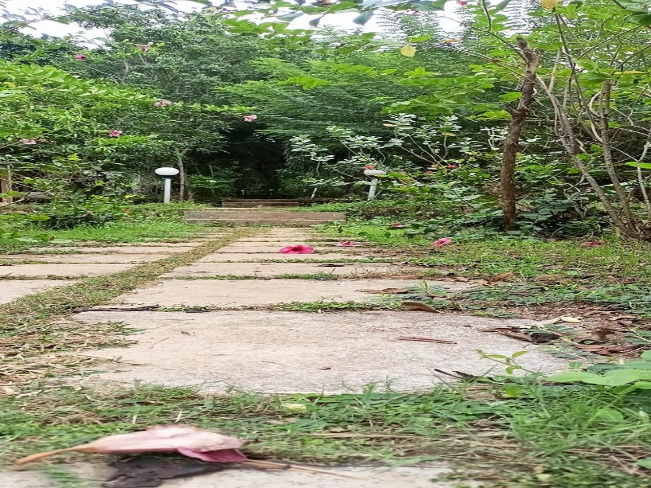Jamboree Creek Yoga 曼德姆 外观 照片